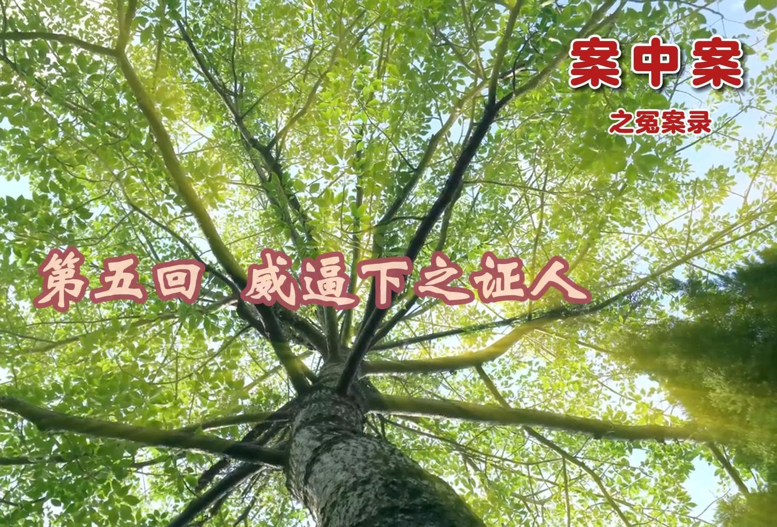 案中案之冤案录 第5回 威逼下之证人