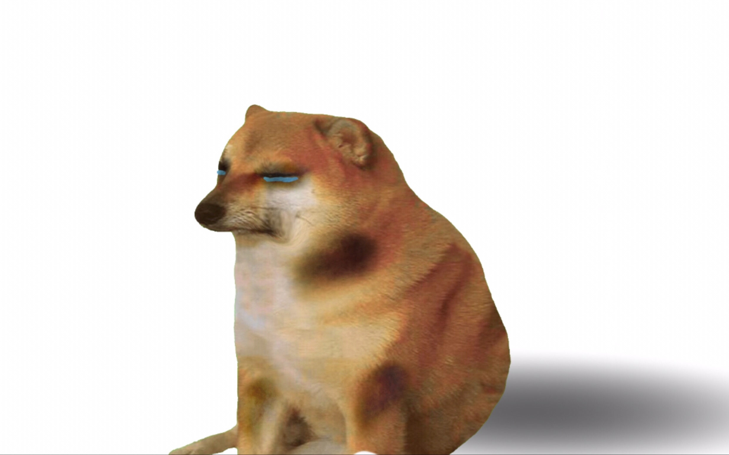 "cheems,你的人生到此为止了吗?