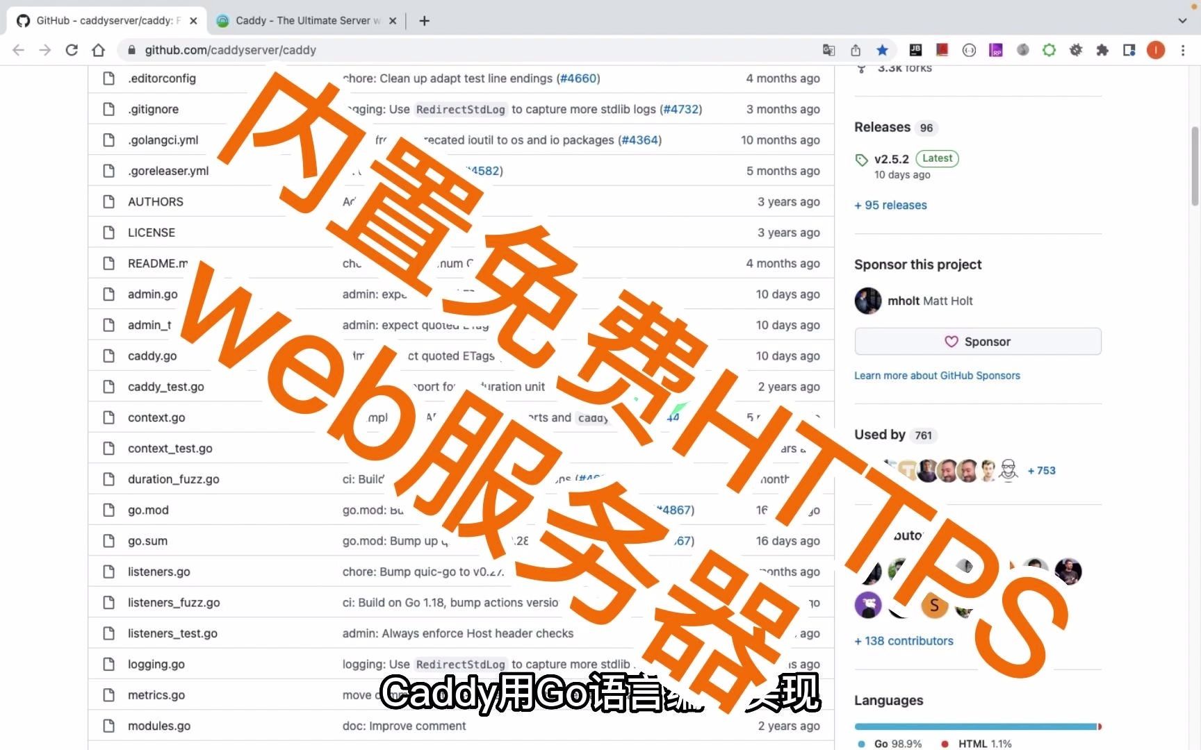 用Go语言编写的轻量级 Web 服务器,内置免费HTTPS,Caddy.哔哩哔哩bilibili