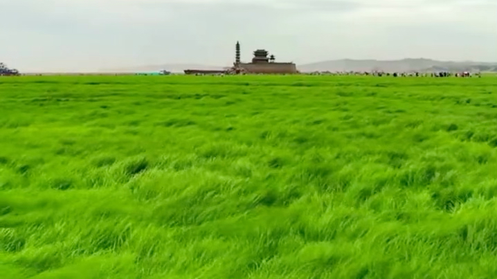 [图]鄱阳湖提前进入枯水期：这碧波荡漾的大草原