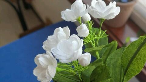 用纸巾做美丽的茉莉花 手工花制作diy 好看又逼真茉莉花是素馨属直立或攀援灌木 叶对生 单叶 叶片纸质 圆形 椭圆形 卵圆形或倒卵形 花期5 8月 花 极香 哔哩哔哩