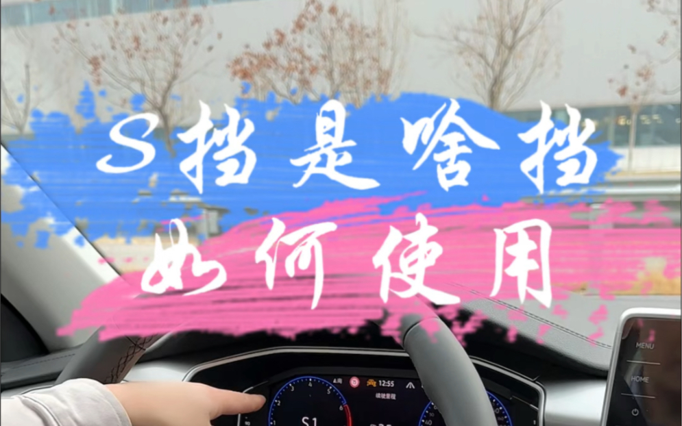 S挡是啥挡?有人说是爽挡你会使用吗哔哩哔哩bilibili