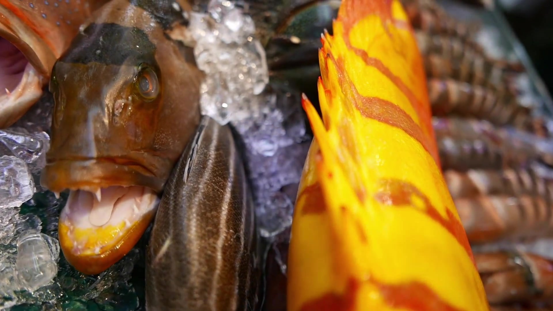 日本街头小吃冲绳大石斑鱼生鱼片