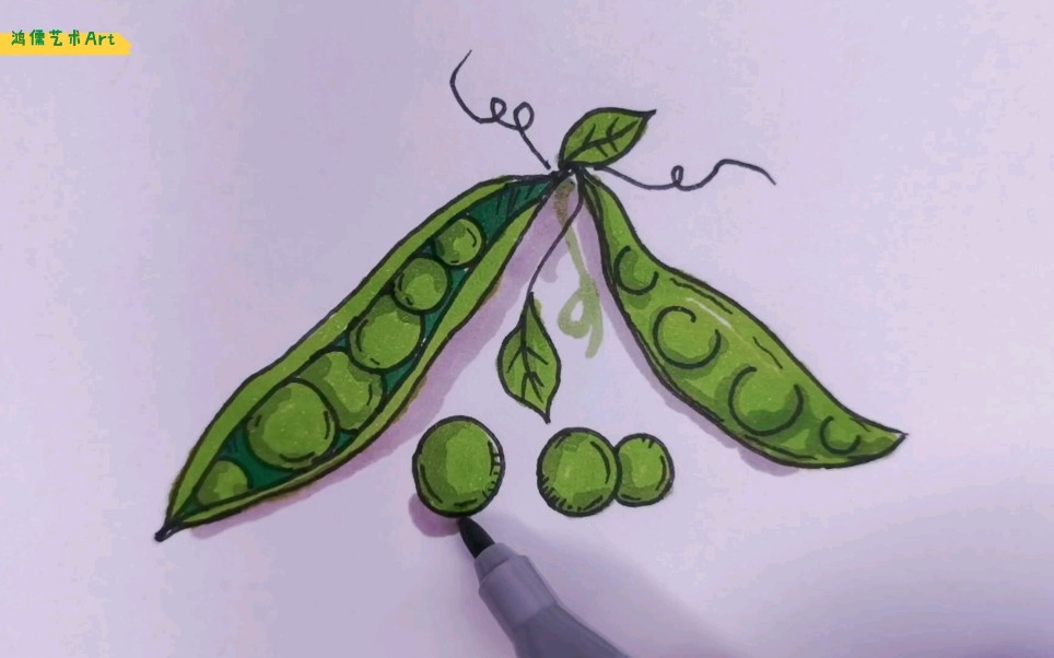 【手绘】怎么画简单又好看的豌豆,一起来学吧