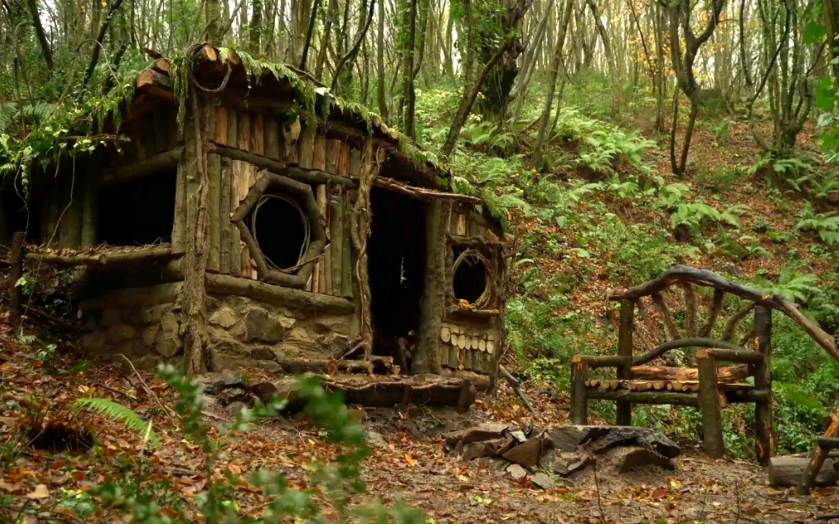 雨天带三只狗狗回到庇护所木屋露营旅行过夜,在壁炉烹制鸡腿,点煤油灯