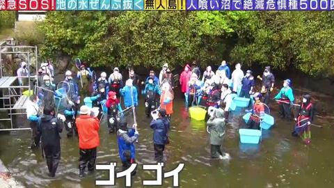 動画 21 04 04 緊急sos 池の水ぜんぶ抜く大作戦 Hkt48 村重杏奈 Hkt48の動画まとめch 動画 21 04 04 緊急sos 池の水ぜんぶ抜く大作戦 Hkt48 村重杏奈 Hkt48の動画まとめch