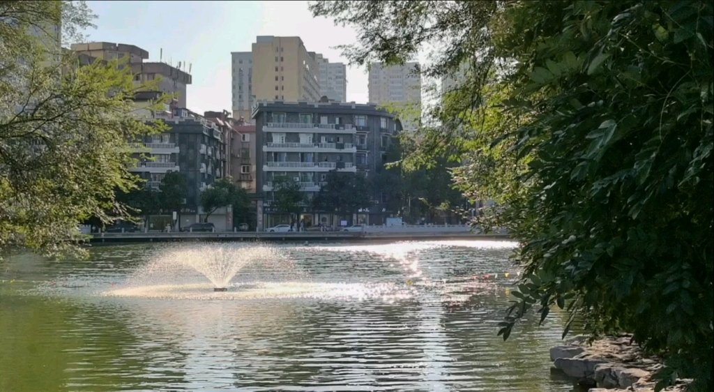 日光在微波上跳舞,好像不停不息的小梭在织着金色的花毡.哔哩哔哩bilibili