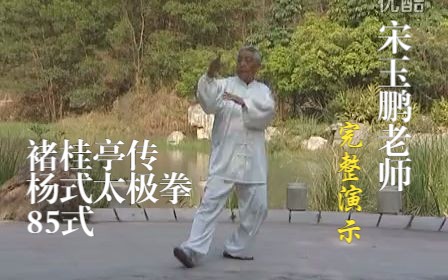 宋玉鹏老师褚桂亭传杨式太极拳85式.演示(白衣)哔哩哔哩bilibili