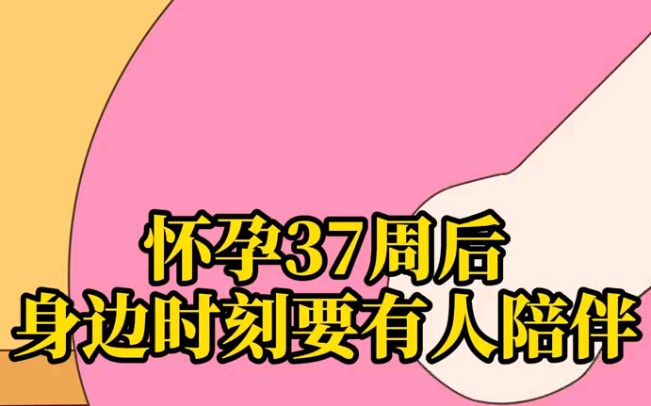 怀孕37周的孕妈,需要家人经常陪着吗?哔哩哔哩bilibili