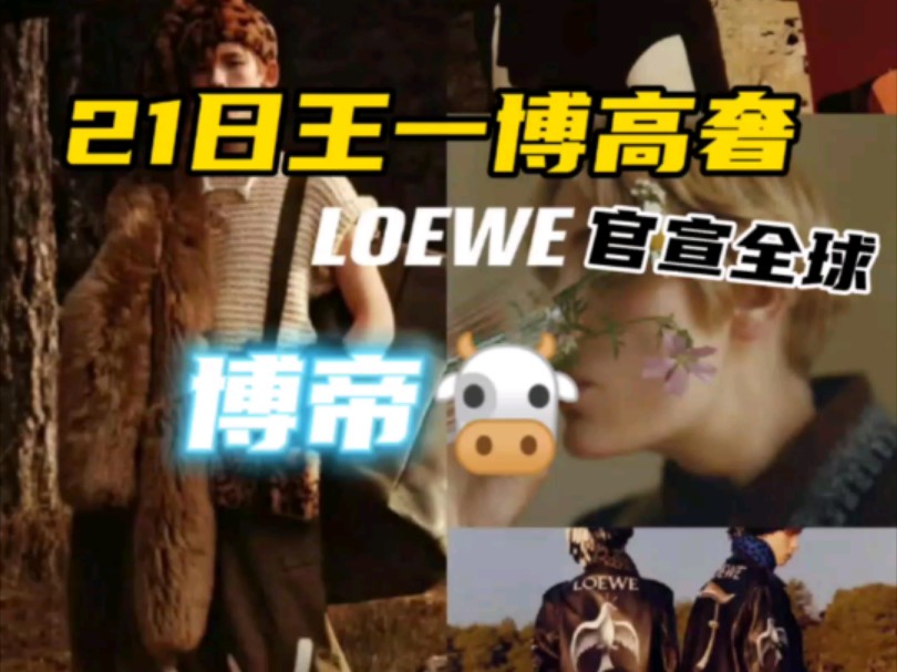 博帝牛啊!又宣一高奢LOEWE全球!惊呆了!数数多少服装代言啦!哔哩哔哩bilibili