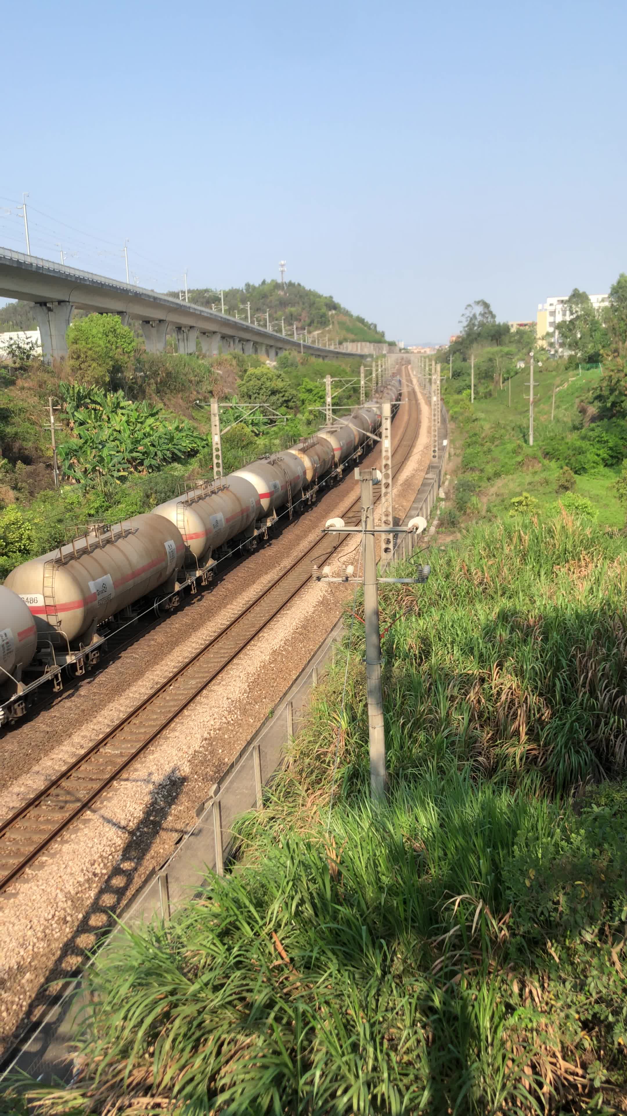 京九线的各种和谐d1c车头车次