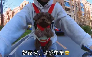 Video herunterladen: 蓝宝：这车能跑全靠我！