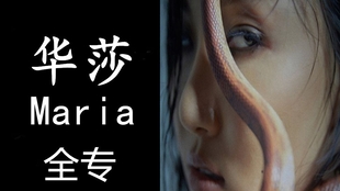 华莎maria 韩文歌词教学 哔哩哔哩 つロ干杯 Bilibili