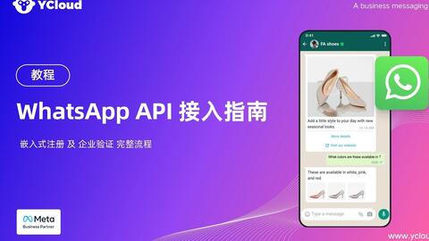 支付接口：连接商业与数字时代的桥梁