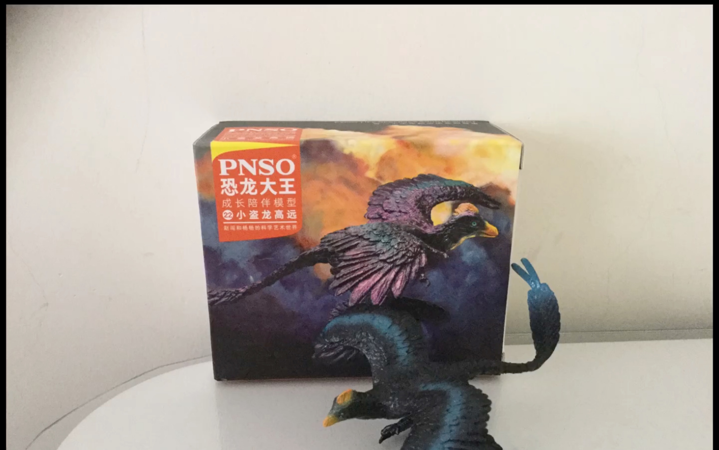 pnso恐龙大王小盗龙测评