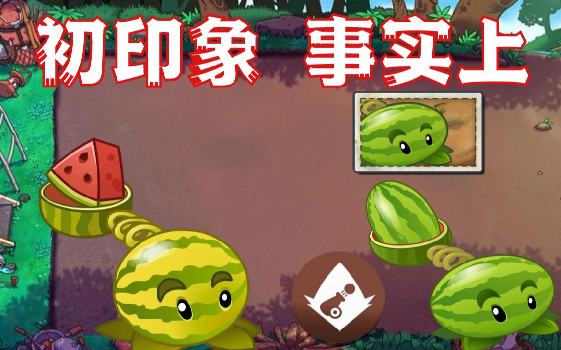 【西瓜投手全方面科普·日行一善·24】