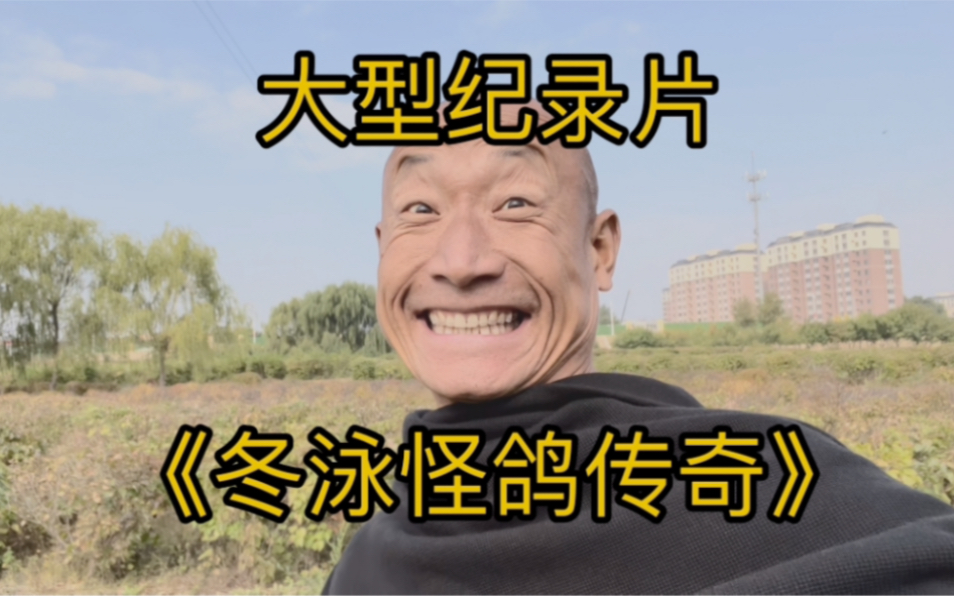 《冬泳怪鸽传奇》,凛冬将至,依旧阻挡不了他热爱冬泳,他叫黄春生,春风