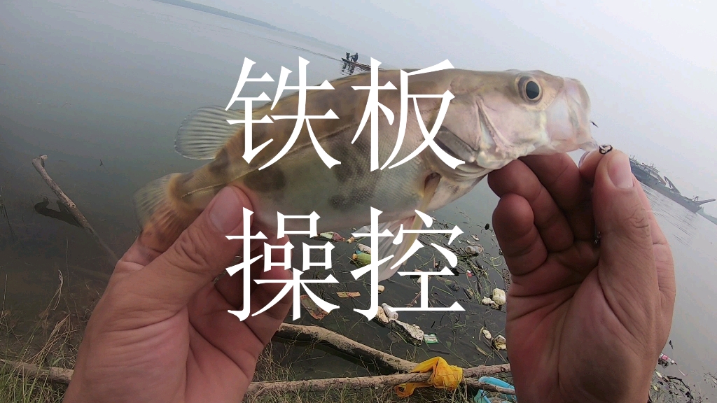 路亚鳜鱼翘嘴都爱咬铁板跳底手法技巧