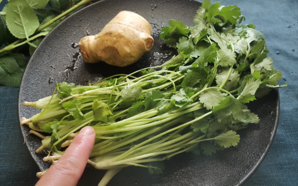 春天,用香菜和姜煮水喝,沒想到作用這麼厲害,很多人不知道,快收藏