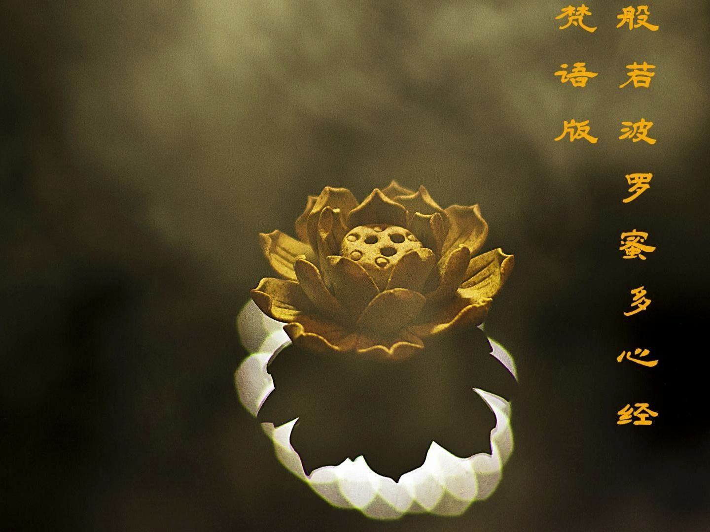 般若波罗蜜多心经梵语版