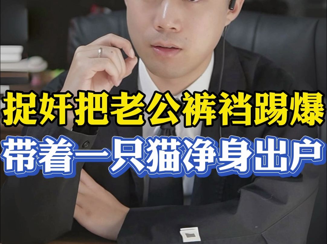 捉奸一时冲动踢爆老公裤裆，获得谅解带着一只猫净身出户