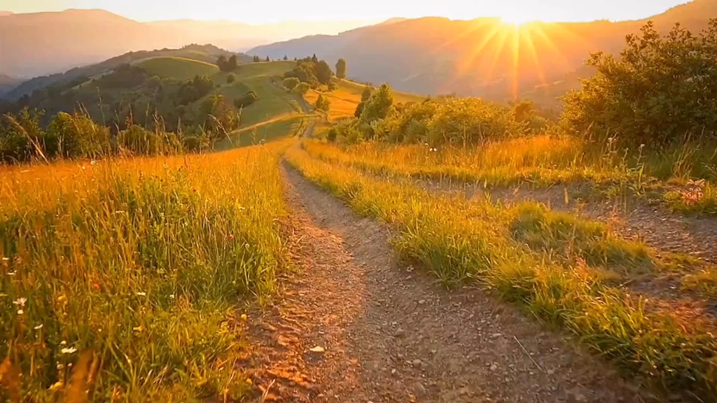 阳光明媚的午后