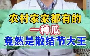 Descargar video: 农村家家都有的一种瓜，竟然是散结节大王