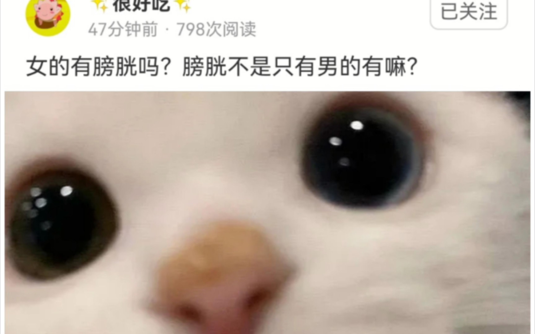 女的有膀胱吗?膀胱不是只有男的有吗??哔哩哔哩bilibili