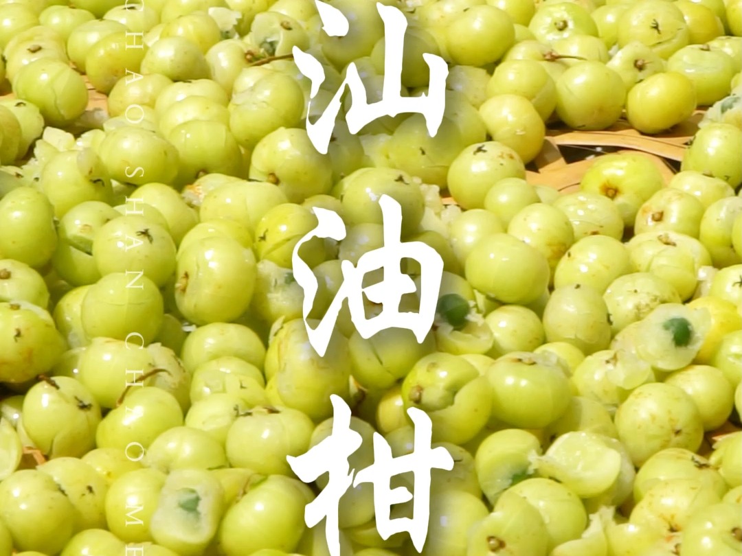 油柑也能当茶喝,你见过吗