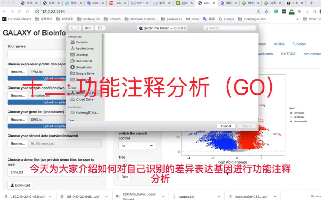 [图]十二: 功能注释分析（GO）