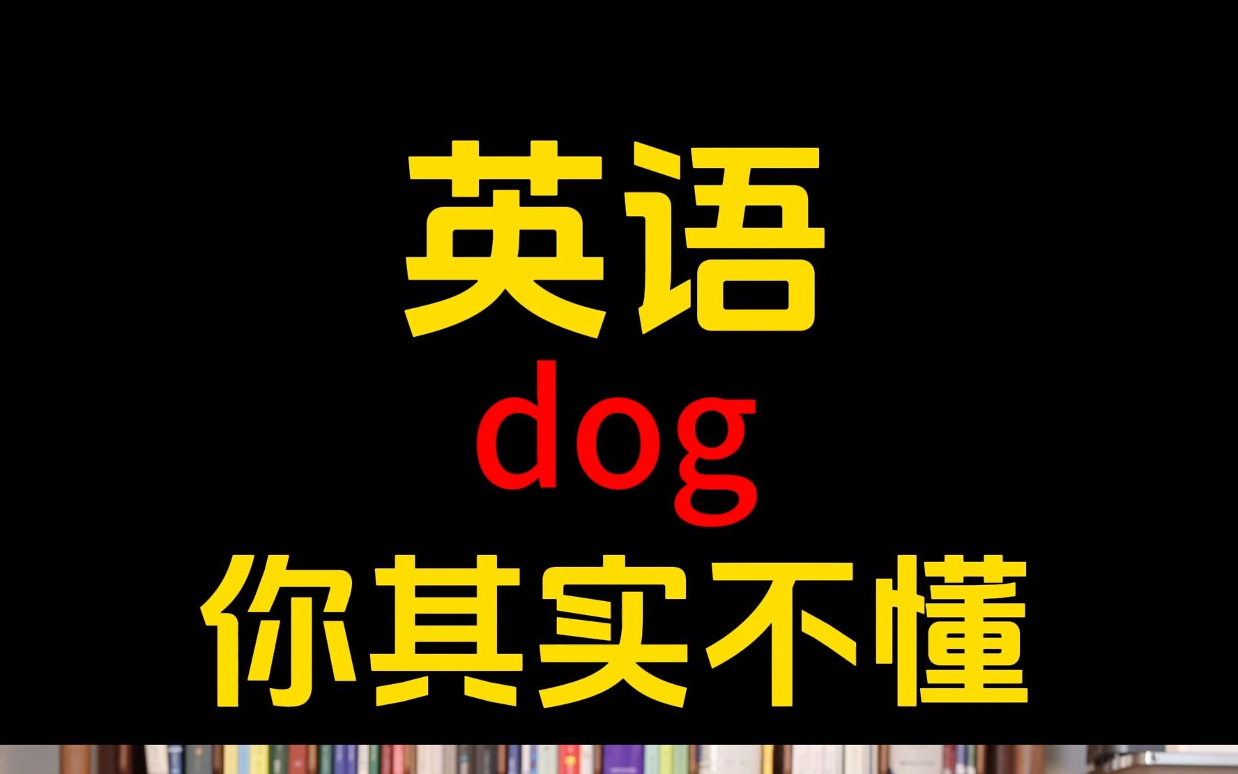 英语dog你其实不懂哔哩哔哩bilibili