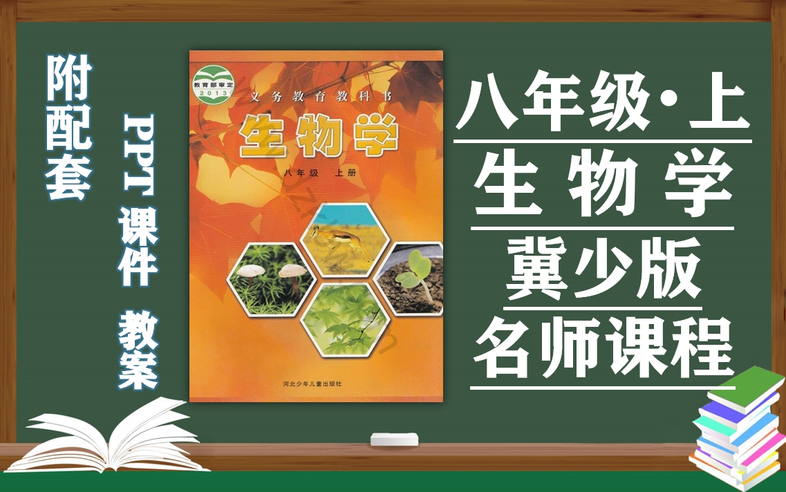 【初二生物】冀少版八年级上册生物学名师同步课程,初中二年级生物上册优质课(附PPT课件+教案备课),河北少年儿童出版社八年级中国生物学上册实...