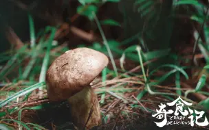 Video herunterladen: 【奇食记】云南见手青：美味菌菇下隐藏着...