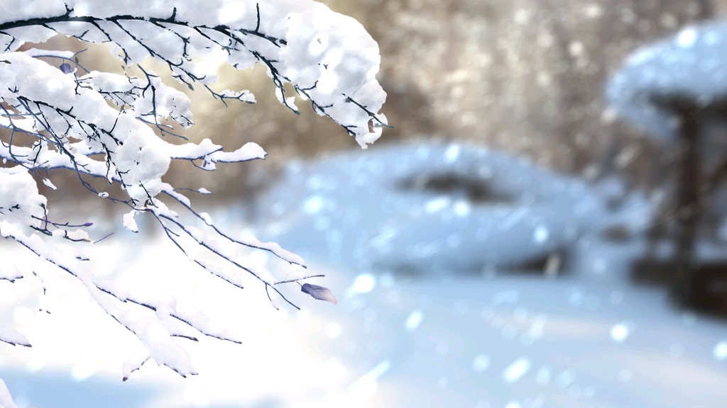 [图]大雪纷飞背景视频