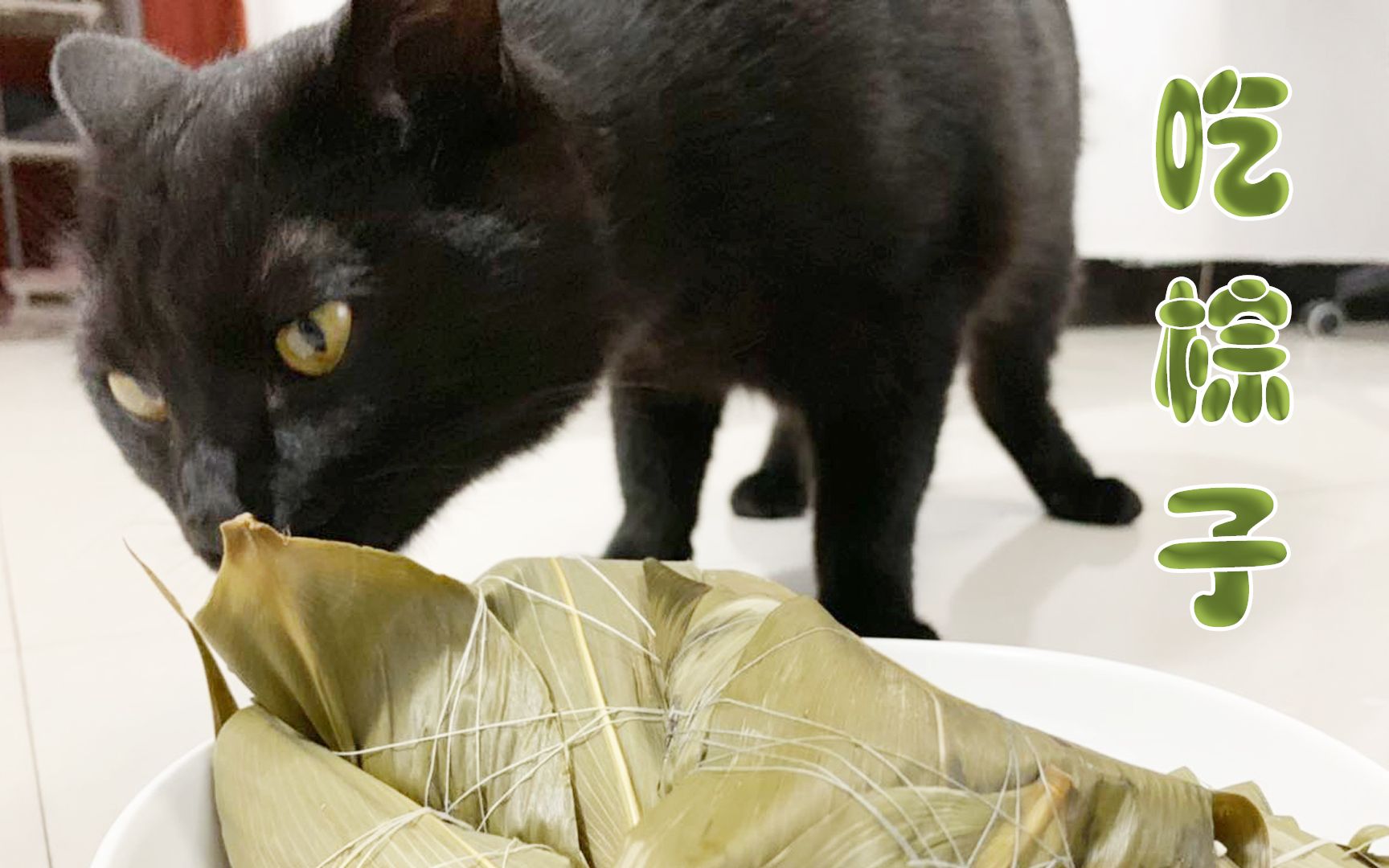 铲屎官包粽子首秀与猫咪们共渡端午!猫:没见过这么丑的粽子