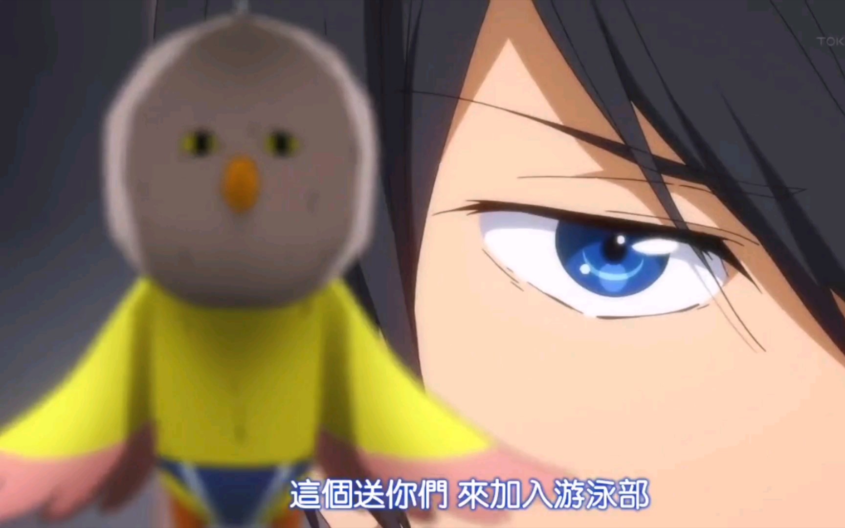 【free!】七濑遥.