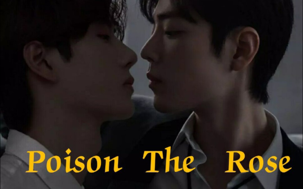 poison  the   rose  (上)/博君一肖abo/双洁/双向诱捕/he