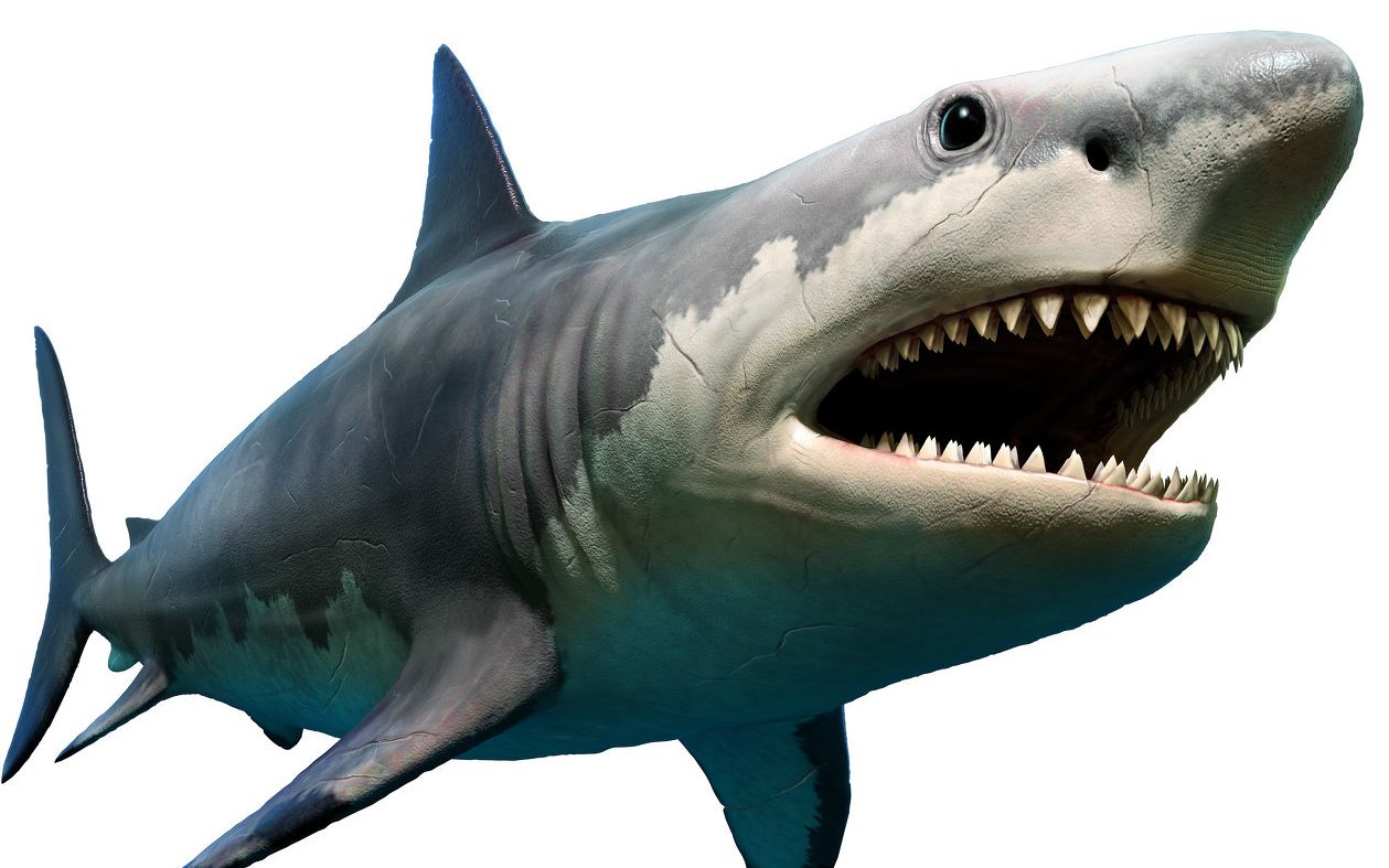 盘点远古时代十大凶猛巨兽万幸没有和它们在一个世纪