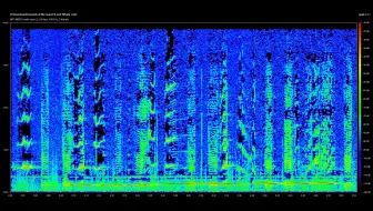 现代声呐听海里的声音，有点诡异
