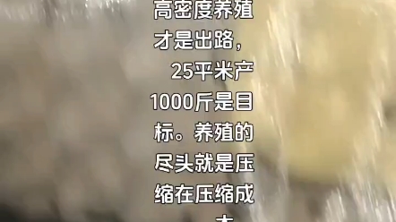 只要有创新的思维,用小的成本做最大的收益.搞养殖要有经验,技术,还要肯动脑筋.减少运营成本应对市场变化.韭菜们加油,加油哔哩哔哩bilibili