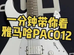 下载视频: 一分钟带你看雅马哈PAC012，新手利器