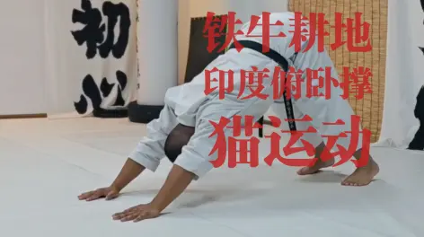 刚柔之心的动态-哔哩哔哩