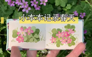 Скачать видео: 画画路边小花｜小本本记录春天夏天可爱的花花们