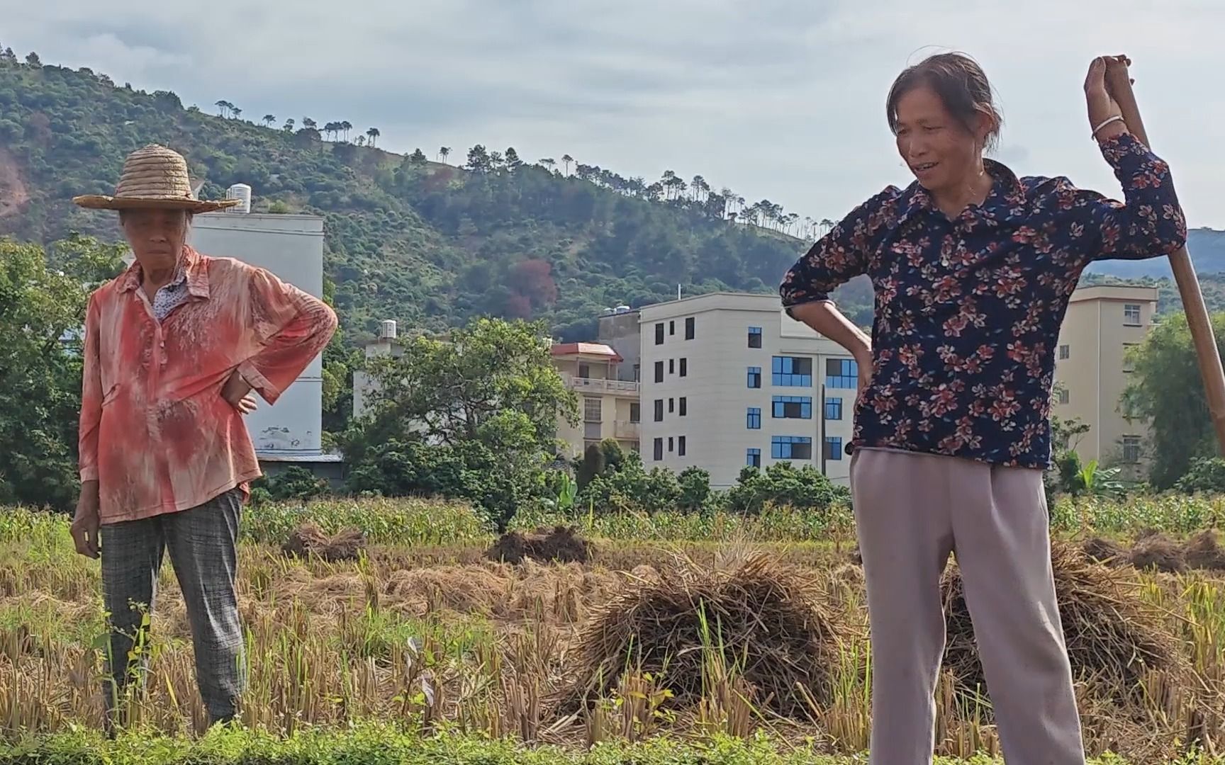 [图]第一次和奶奶下地种土豆，才知道原来奶奶是村里数一数二的高手，好多婶婶阿奶来问怎么种的，种地真的是一门技术活儿哈哈哈哈哈