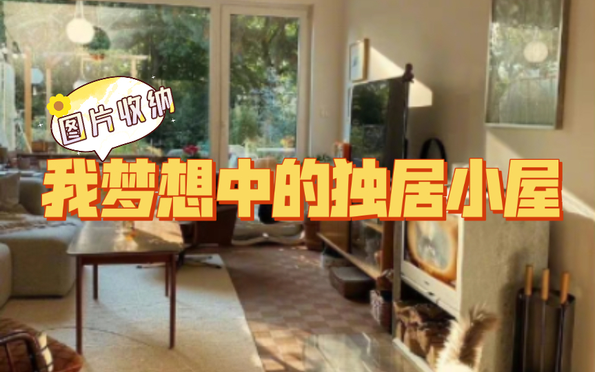 梦想独居小屋ⷮŠ图片收纳哔哩哔哩bilibili