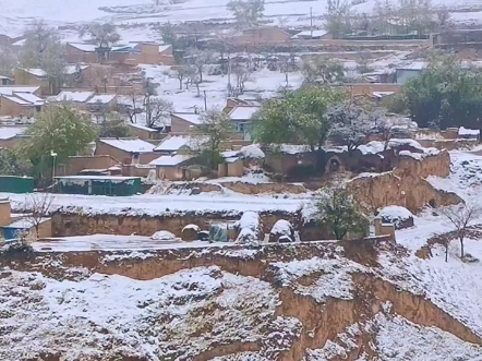 老家下大学了雪飘飘洒洒,飘美了小山村,飘暖了我的家乡,最美不过家乡的雪景. ＂冬天我的家乡下雪了 ＂见过这么美丽的雪景吗 ＂哔哩哔哩bilibili