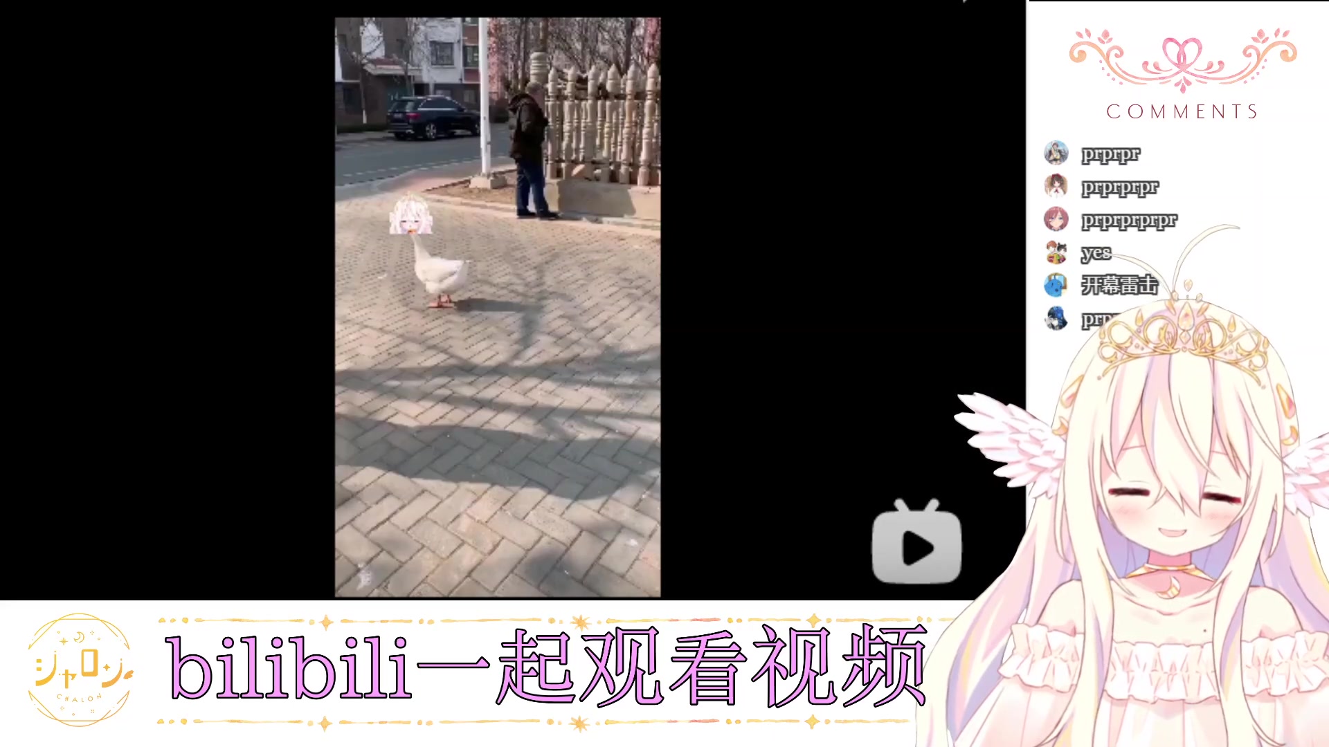 【21/3/3 B限】bilibili一起观看视频哔哩哔哩bilibili