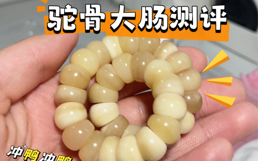 驼骨大肠测评来啦！小众宝藏文玩_哔哩哔哩_bilibili