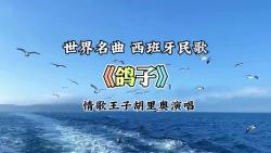 世界名曲,西班牙民歌,经典情歌《鸽子,情歌王子胡里奥演唱!