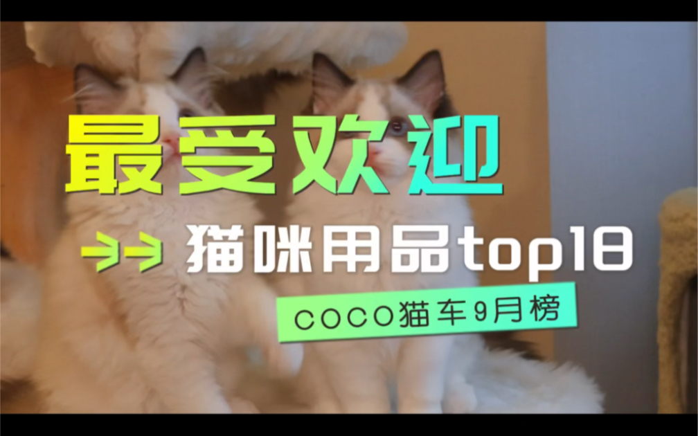 9月最受欢迎的猫咪用品top18,猫车群猫粮猫砂推荐哔哩哔哩bilibili